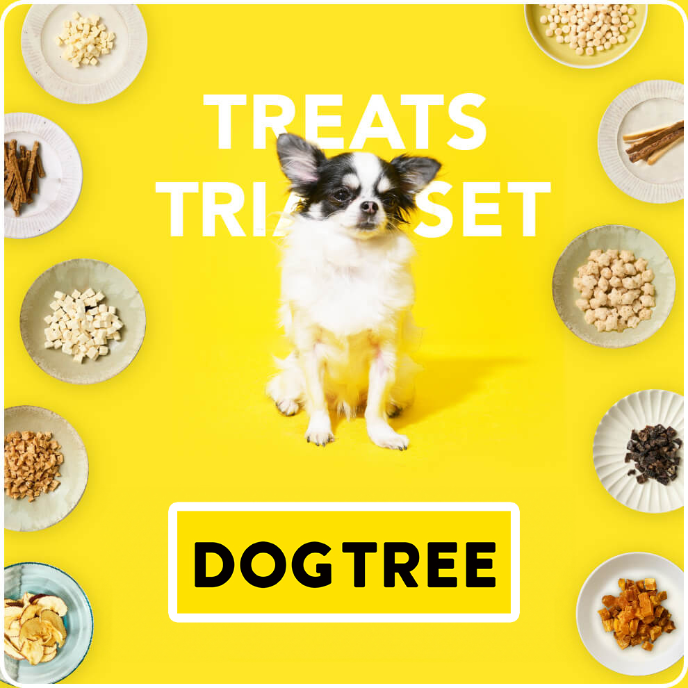 DOG TREE 日本無添加寵物小食試食套裝 - Mo Kids 香港獨家代理